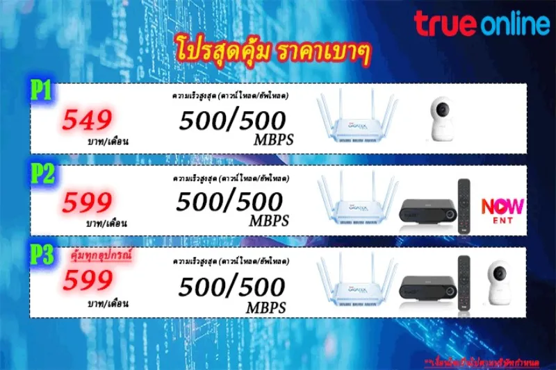 เน็ตบ้านทรู 500/500 Mbps คืออะไร เหมาะกับใครบ้าง